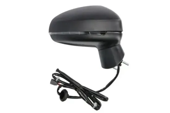 Außenspiegel rechts BLIC 5402-25-1629315P Bild Außenspiegel rechts BLIC 5402-25-1629315P