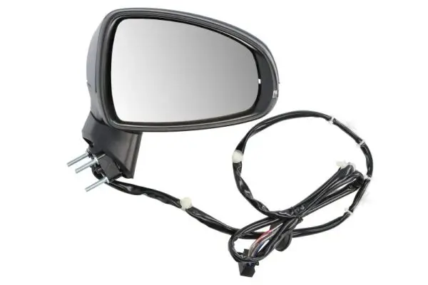 Blinkleuchte links BLIC 5403-43-1311105P