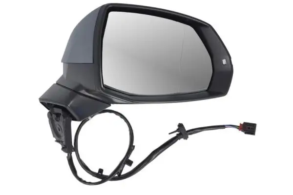 Außenspiegel links BLIC 5402-25-1875315P