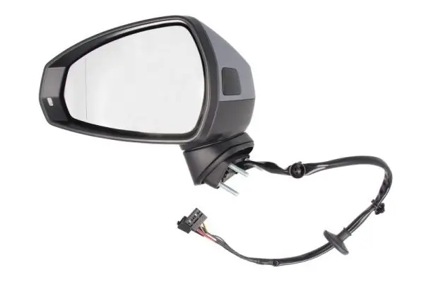 Außenspiegel links BLIC 5402-25-2001029P