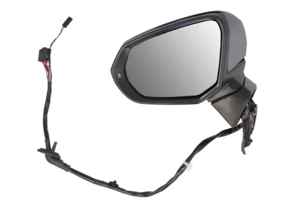 Außenspiegel links BLIC 5402-25-2178314P