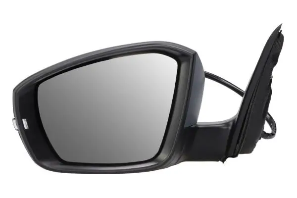 Außenspiegel links BLIC 5402-43-1923310P