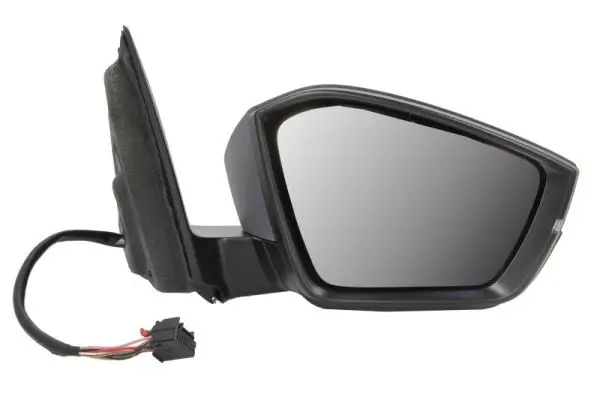 Außenspiegel rechts BLIC 5402-43-2195315P
