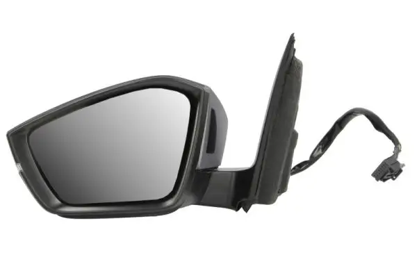 Außenspiegel links BLIC 5402-43-2195316P