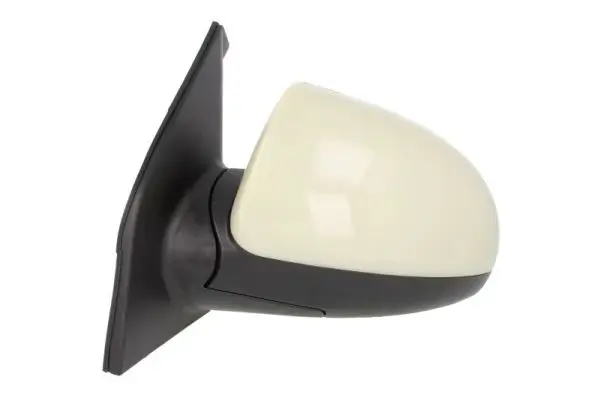 Außenspiegel links BLIC 5402-53-2001521P