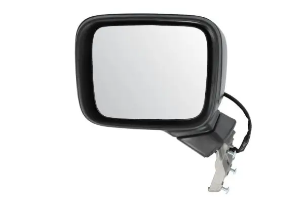 Außenspiegel links BLIC 5402-55-0625310P