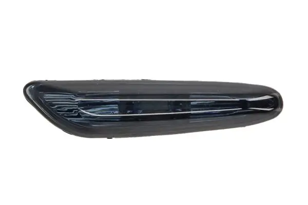 Blinkleuchte 12 V links BLIC 5403-004-07-841S
