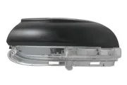 Blinkleuchte vorne rechts BLIC 5403-01-1564106P