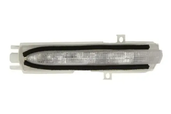 Blinkleuchte links BLIC 5403-01-811861P Bild Blinkleuchte links BLIC 5403-01-811861P