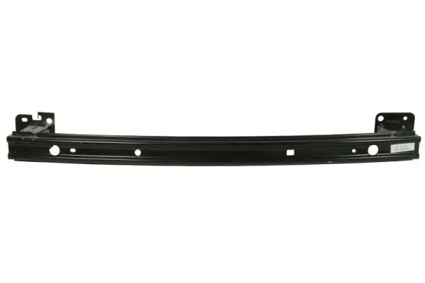Träger, Stoßfänger vorne BLIC 5502-00-1611941P