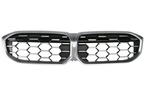 Träger, Stoßfänger hinten BLIC 5502-00-2589981P