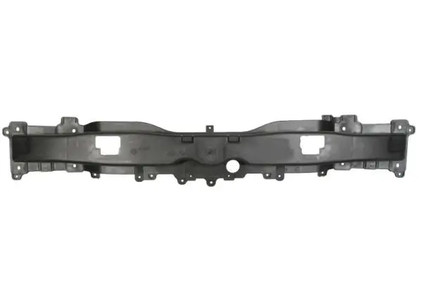 Träger, Stoßfänger hinten BLIC 5502-00-3190980P