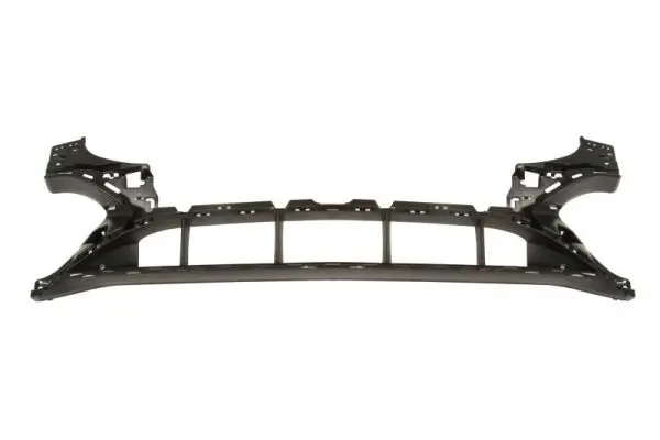 Träger, Stoßfänger vorne BLIC 5502-00-3555942P