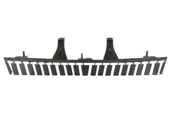 Träger, Stoßfänger hinten BLIC 5502-00-5519981P