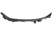 Halter, Stoßfänger BLIC 5504-00-3172931P