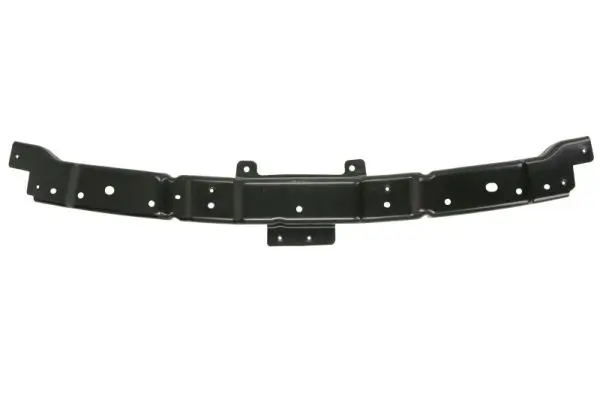 Halter, Stoßfänger BLIC 5504-00-9802939P