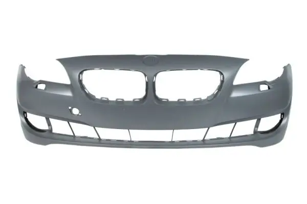 Stoßfänger vorne BLIC 5510-00-0067901Q