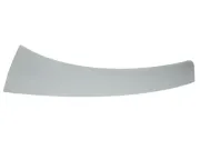 Klappe, Abschlepphaken vorne BLIC 5513-00-5508920P