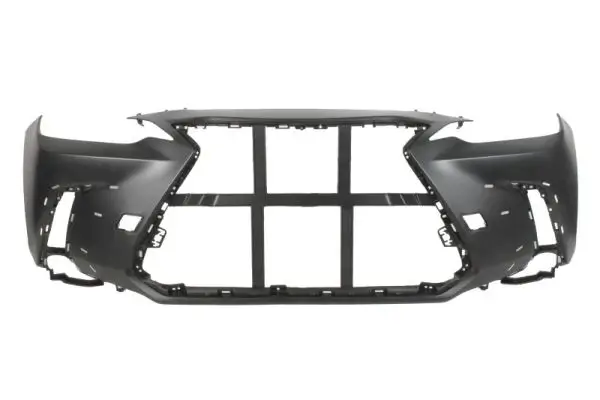 Zier-/Schutzleiste, Stoßfänger hinten BLIC 5703-05-6006971P