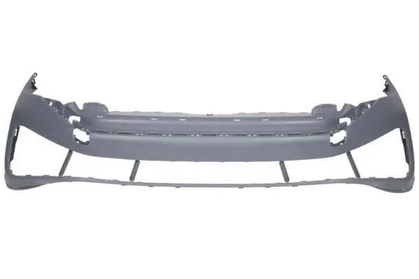 Zier-/Schutzleiste, Seitenwand rechts BLIC 5703-06-6089578PP