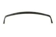 Spoiler vorne BLIC 5511-00-0060220P