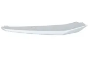 Zier-/Schutzleiste, Kühlergitter BLIC 5513-00-0063923P