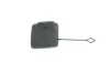 Klappe, Abschlepphaken vorne BLIC 5513-00-0078920P Bild Klappe, Abschlepphaken vorne BLIC 5513-00-0078920P