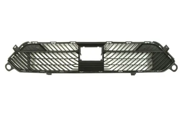 Lüftungsgitter, Stoßfänger vorne BLIC 5513-00-0542992P