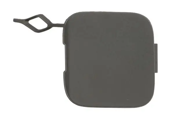 Stoßfängerabdeckung, Anhängevorrichtung vorne links BLIC 5513-00-1189924P