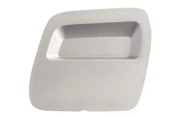 Türgriff, Innenausstattung hinten rechts BLIC 6010-01-021408TP