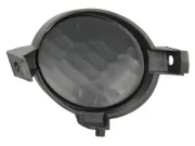 Kofferraumdeckelgriff außen BLIC 6010-01-022417WP