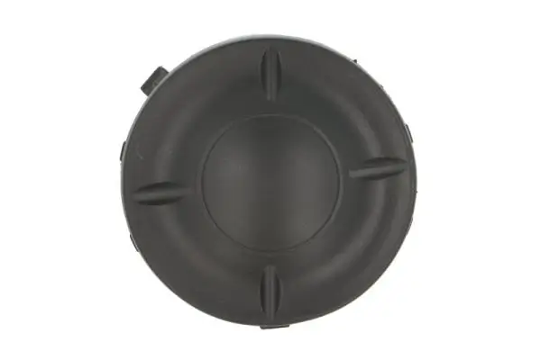 Lüftungsgitter, Stoßfänger links BLIC 5513-00-1619995P