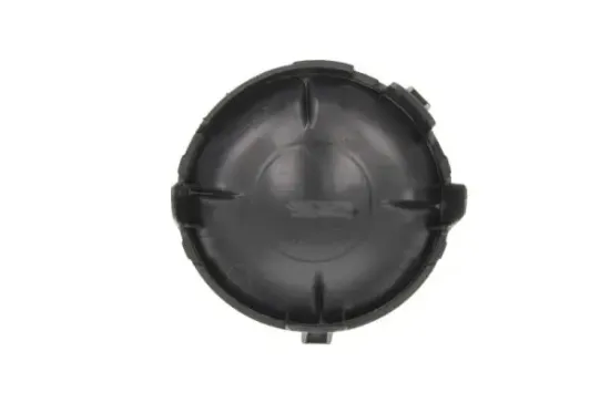 Lüftungsgitter, Stoßfänger links BLIC 5513-00-1619995P Bild Lüftungsgitter, Stoßfänger links BLIC 5513-00-1619995P