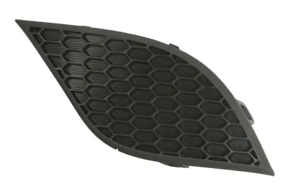 Türaußengriff vorne links vorne rechts hinten BLIC 6010-02-018405P