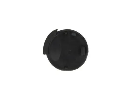 Türaußengriff vorne links BLIC 6010-03-017401P