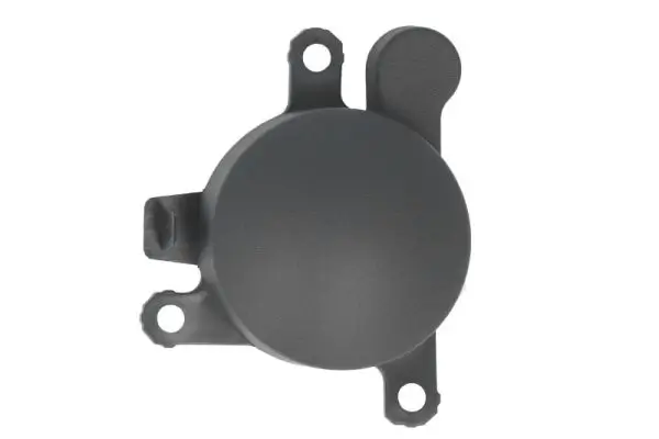 Türaußengriff vorne rechts BLIC 6010-05-004402P