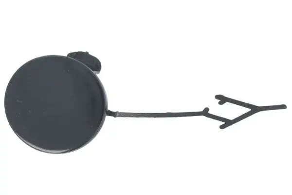 Türaußengriff hinten links BLIC 6010-05-018403P