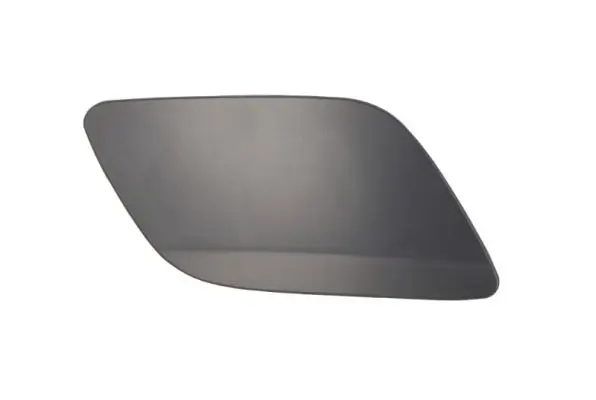 Türaußengriff außen vorne links vorne rechts BLIC 6010-05-0884402P