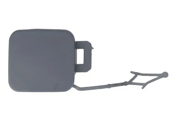 Klappe, Abschlepphaken vorne links BLIC 5513-00-9509920P