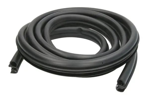 Türdichtung BLIC 5703-04-0060502P