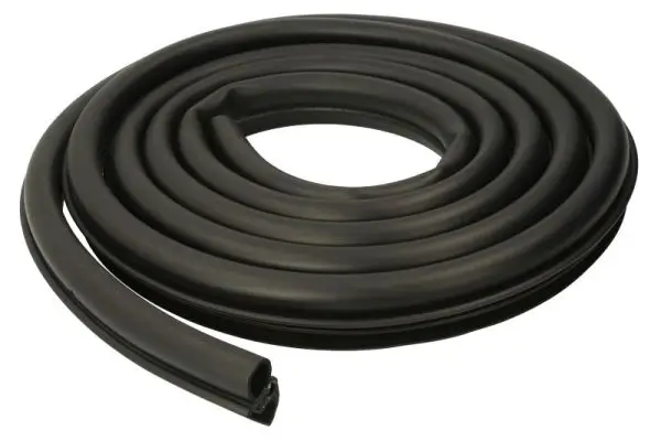 Türdichtung BLIC 5703-04-0066501P