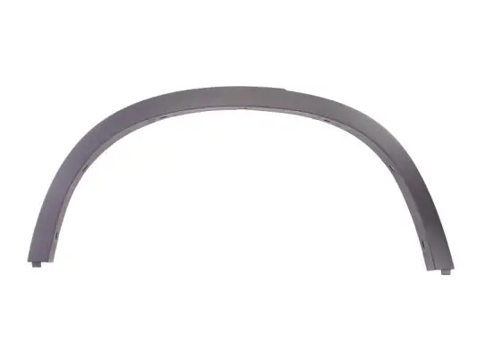 Zier-/Schutzleiste, Kotflügel hinten rechts BLIC 5703-04-0092596P