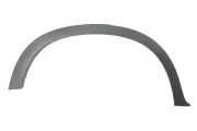 Zier-/Schutzleiste, Kotflügel hinten rechts BLIC 5703-04-0096596P