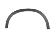 Zier-/Schutzleiste, Kotflügel hinten rechts BLIC 5703-04-0097596P