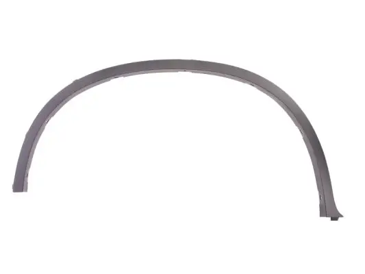 Zier-/Schutzleiste, Kotflügel hinten rechts BLIC 5703-04-0099596P