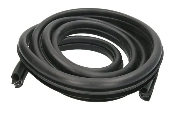 Türdichtung BLIC 5703-04-0501502P