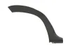 Zier-/Schutzleiste, Kotflügel hinten rechts BLIC 5703-04-1305596P