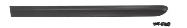 Zier-/Schutzleiste, Kotflügel hinten rechts BLIC 5703-04-2042574P