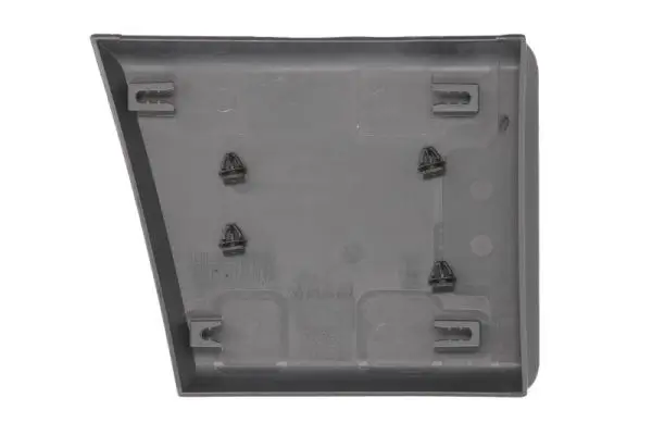 Türaußengriff vorne rechts hinten links hinten rechts BLIC 6010-16-038402P