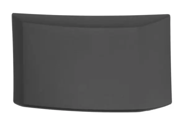 Zier-/Schutzleiste, Seitenwand links BLIC 5703-04-2518573P